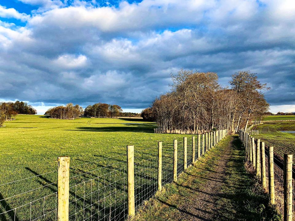 Singleton Parish Council